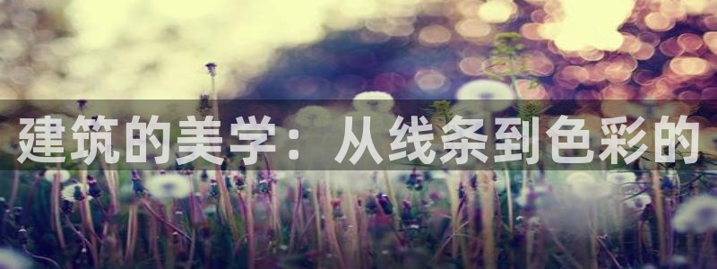 万发大平台乐透