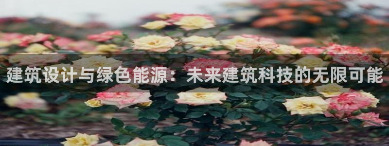 乐发彩票vll平台