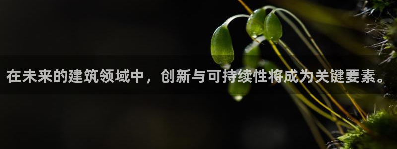 乐发彩票是正规平台吗