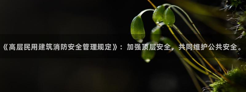 lhf乐豪发娱乐平台