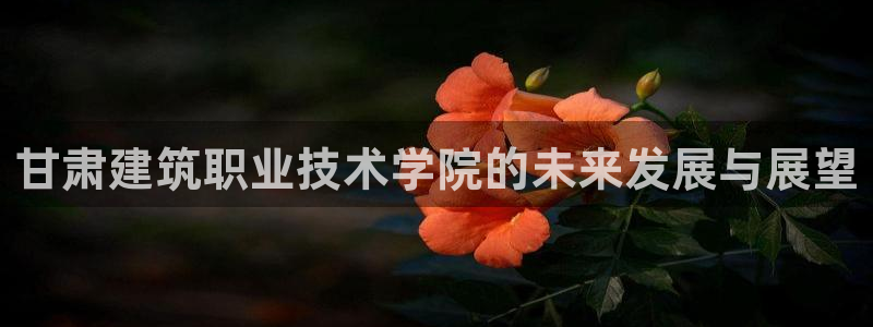 乐发旗下的平台有多少个