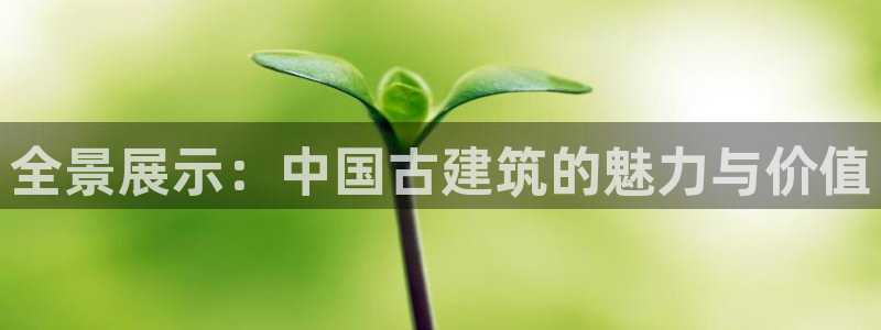 乐发平台邀请码全网最高