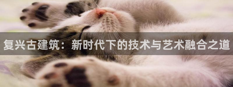 乐发彩票平台下载