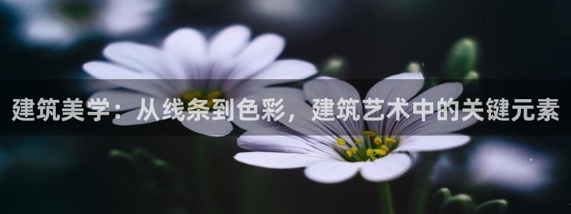 乐发平台app可靠吗