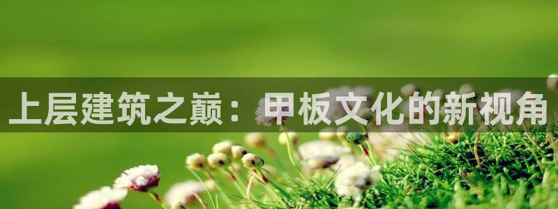 乐豪发是黑平台吗