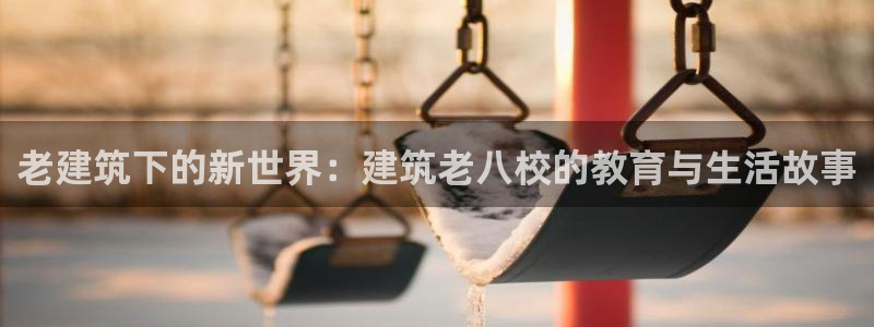 乐购平台发口罩：老建筑下的新世界：建筑老八校的教育与生活故事