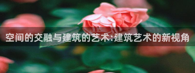 乐享发圈平台App苹果版下载