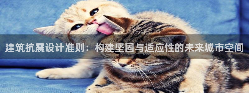 亿发乐登录平台：建筑抗震设计准则：构建坚固与适应性的未来城市空间