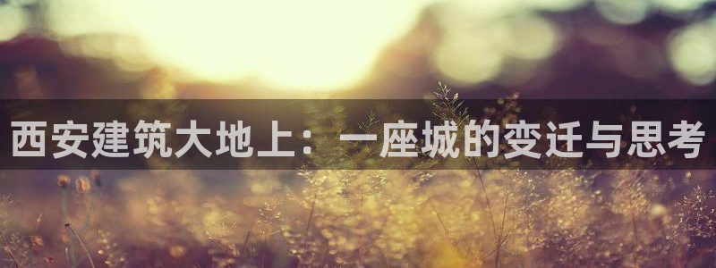 乐发国际平台：西安建筑大地上：一座城的变迁与思考