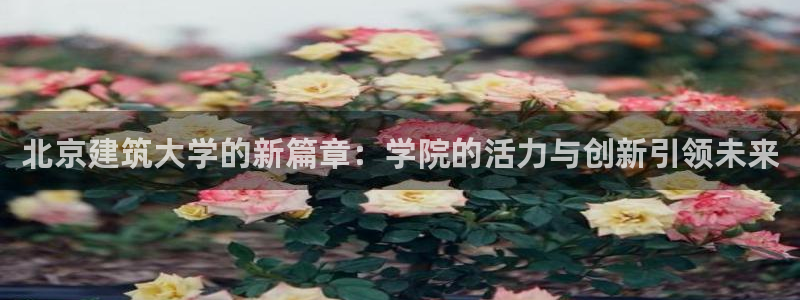 lhf乐豪发娱乐平台：北京建筑大学的新篇章：学院的活力与创新引领未来
