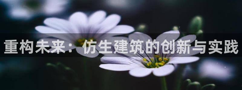 乐发彩票平台网址查询