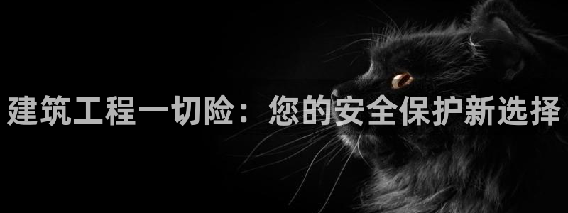 乐发大小单双平台