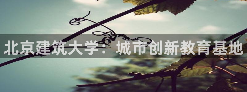 乐发彩票平台入口