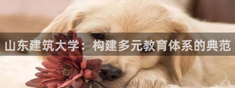 乐发ii下载平台
