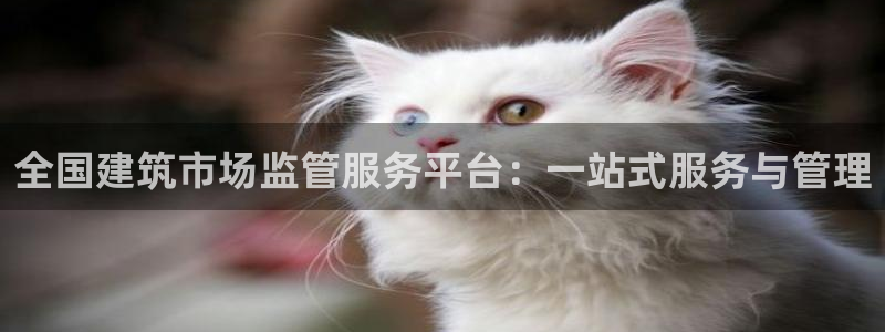 乐发平台网址是什么