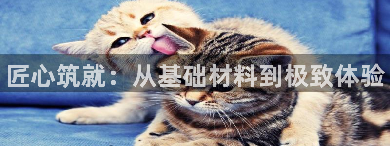 1分快三赚钱平台乐发