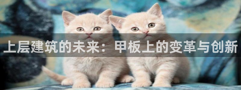 棋乐棋牌平台浦发棋牌