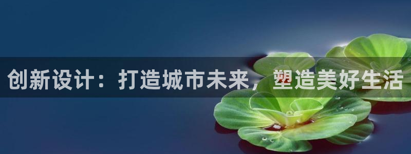 乐发平台注册流程图