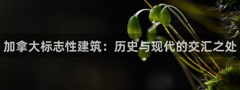 乐发平台不能提现