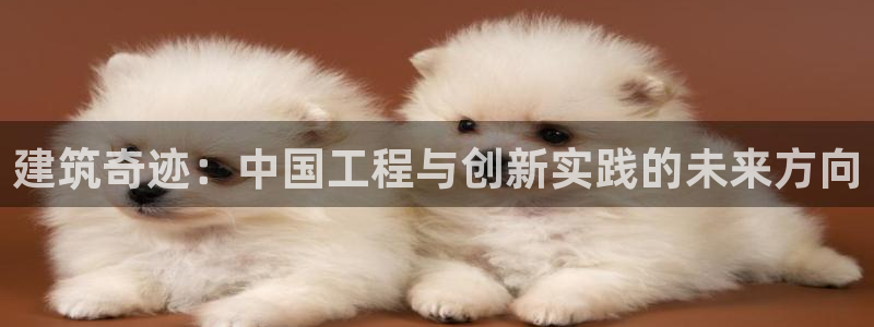 乐发体育平台怎么样啊