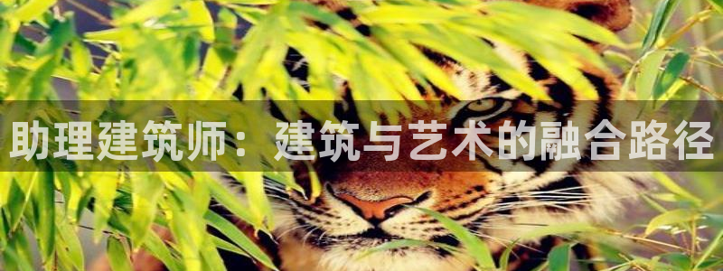 乐发传媒是什么平台