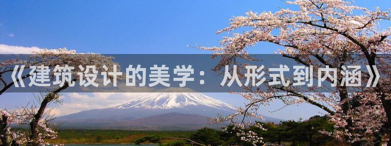 乐发v11平台怎样