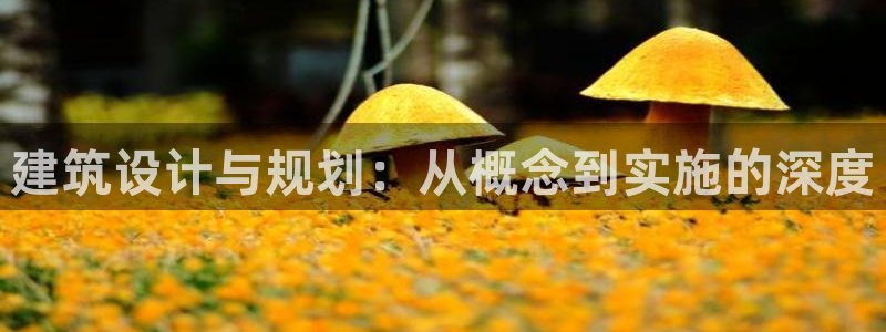 乐发国际是不是黑平台