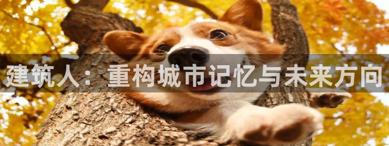 乐发平台下载安装