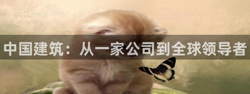 乐发平台注册资金多少