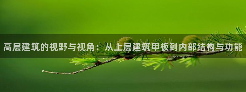 乐发彩票网平台带人玩的