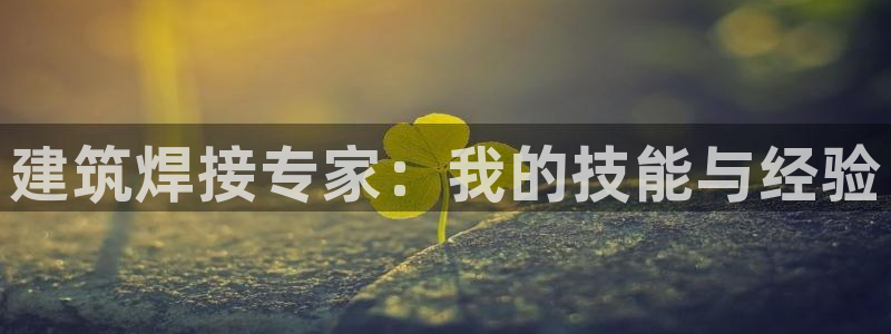 乐发II平台官方