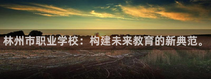 乐发彩票网平台带人玩的：林州市职业学校：构建未来教育的新典范。