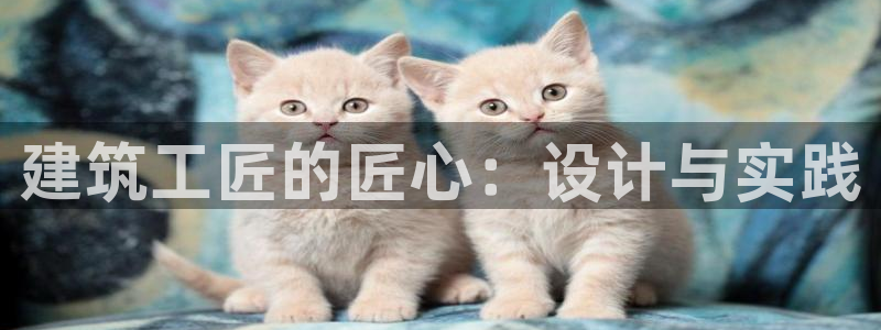 彩票大小单双平台乐发：建筑工匠的匠心：设计与实践