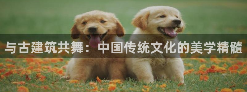 乐发 il彩票平台入口